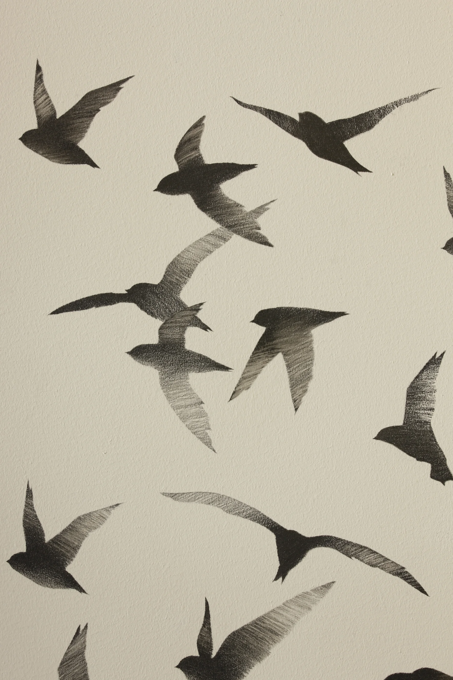 Swifts
