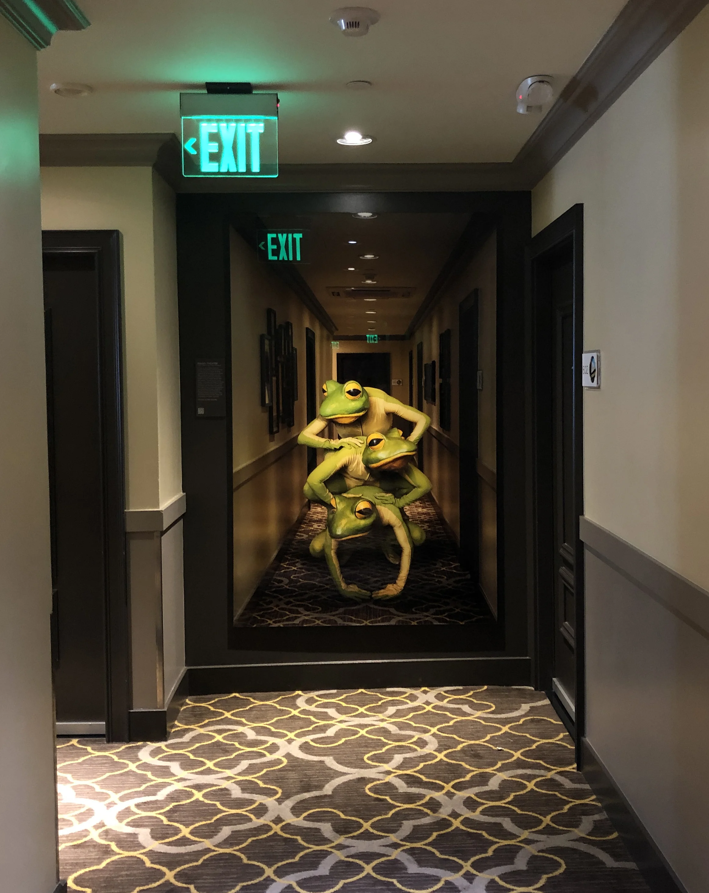 6_Frogz_crop.jpg