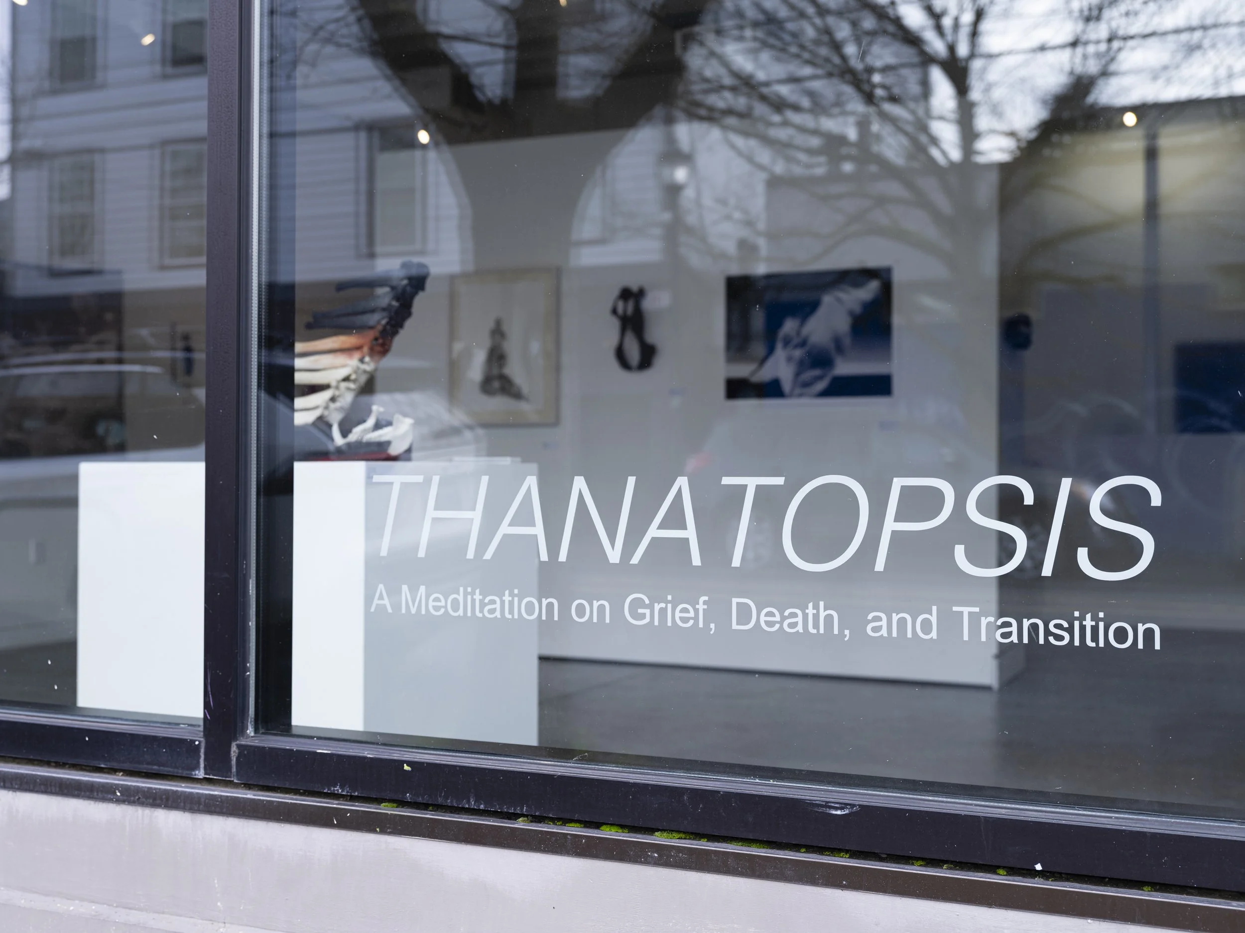 Thanatopsis; A meditation on grief, death and transition