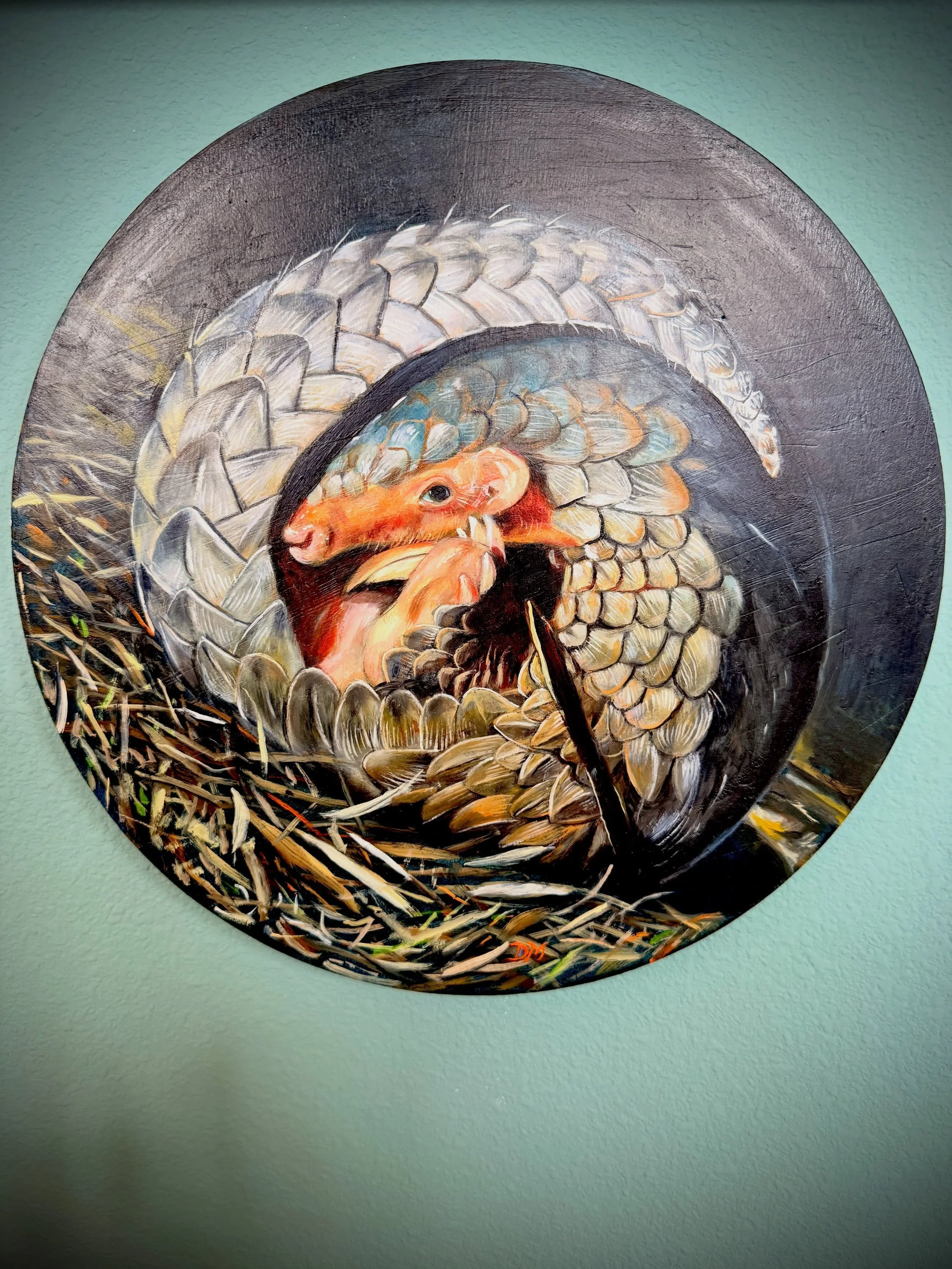 Love love love my pangolin. Just need to frame it. @demonaghan