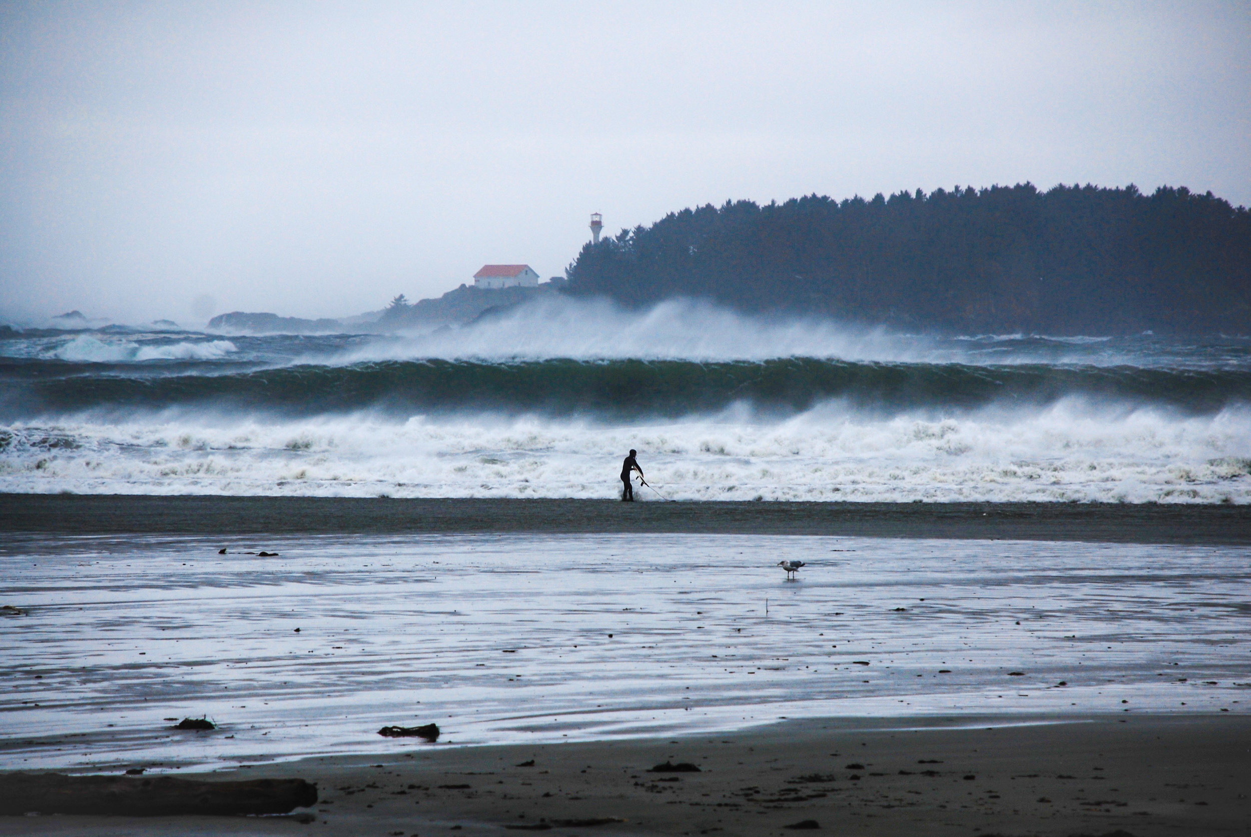 Shorebreak.jpg