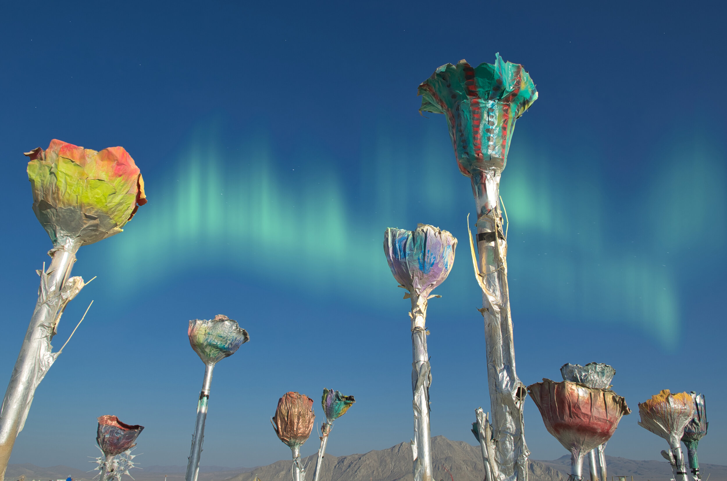 Burning Man 2018 - Tin Flower Aurora