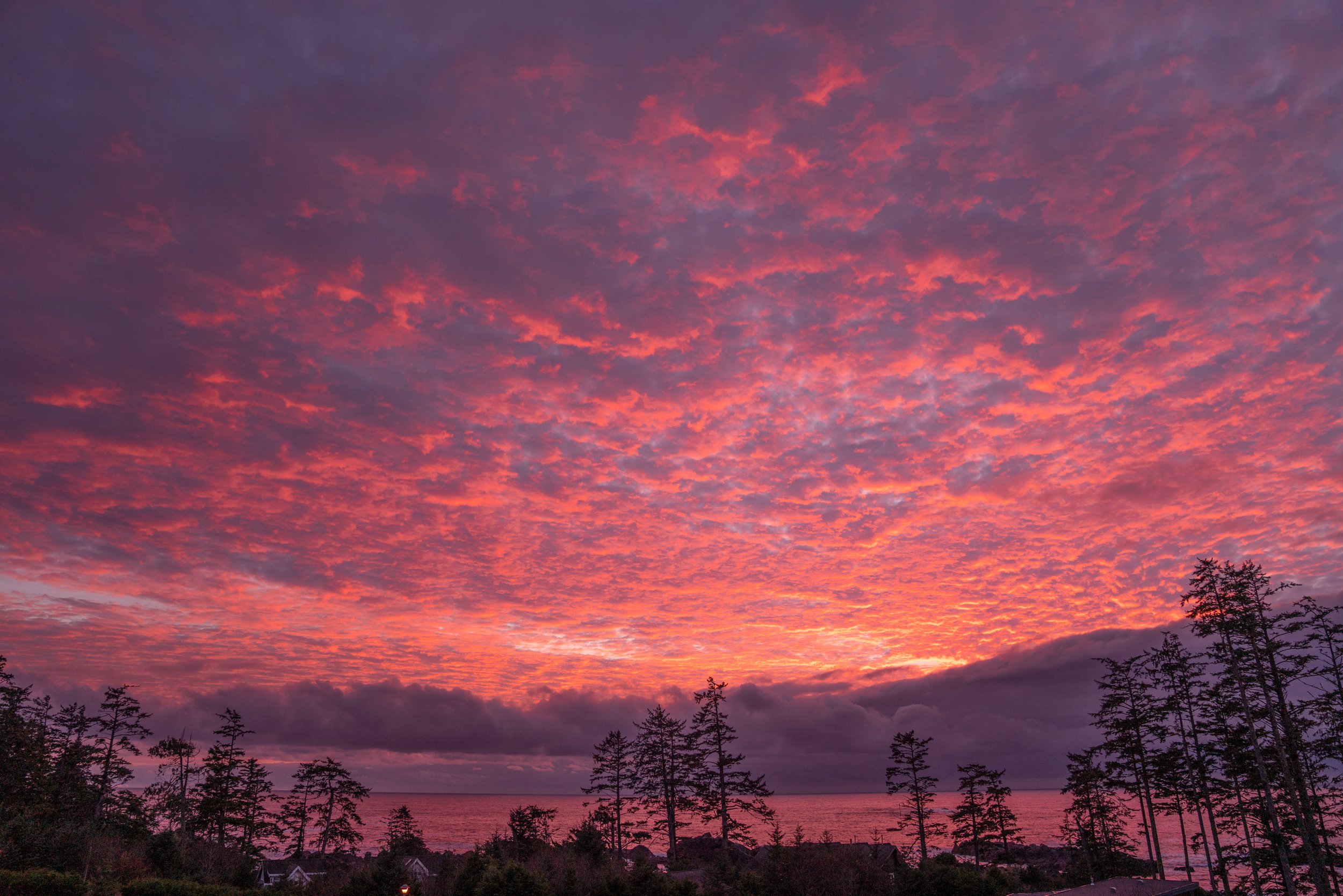 CottonCandySunset.jpg