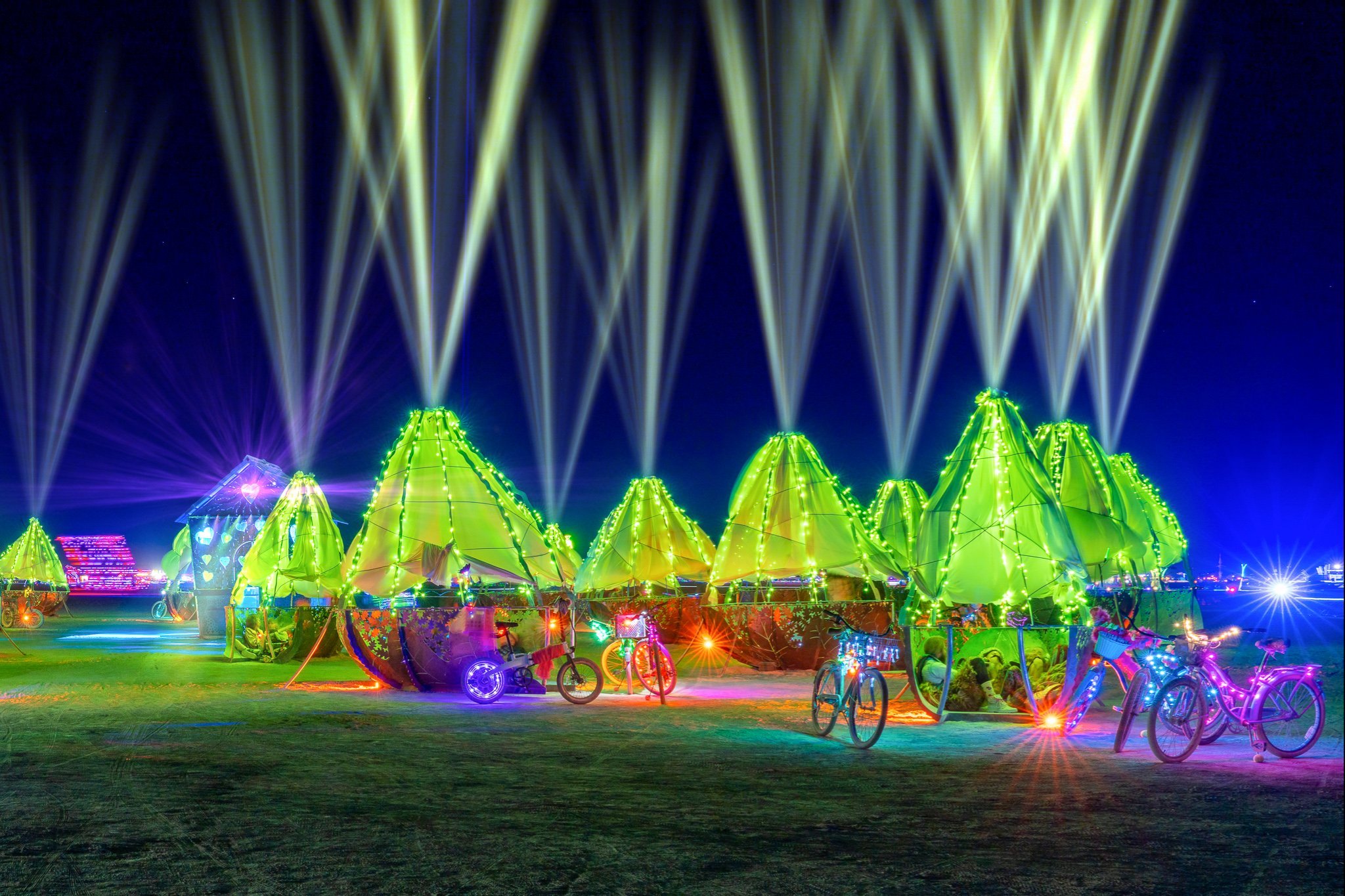 Burning Man 2022 - Love Pod Forest
