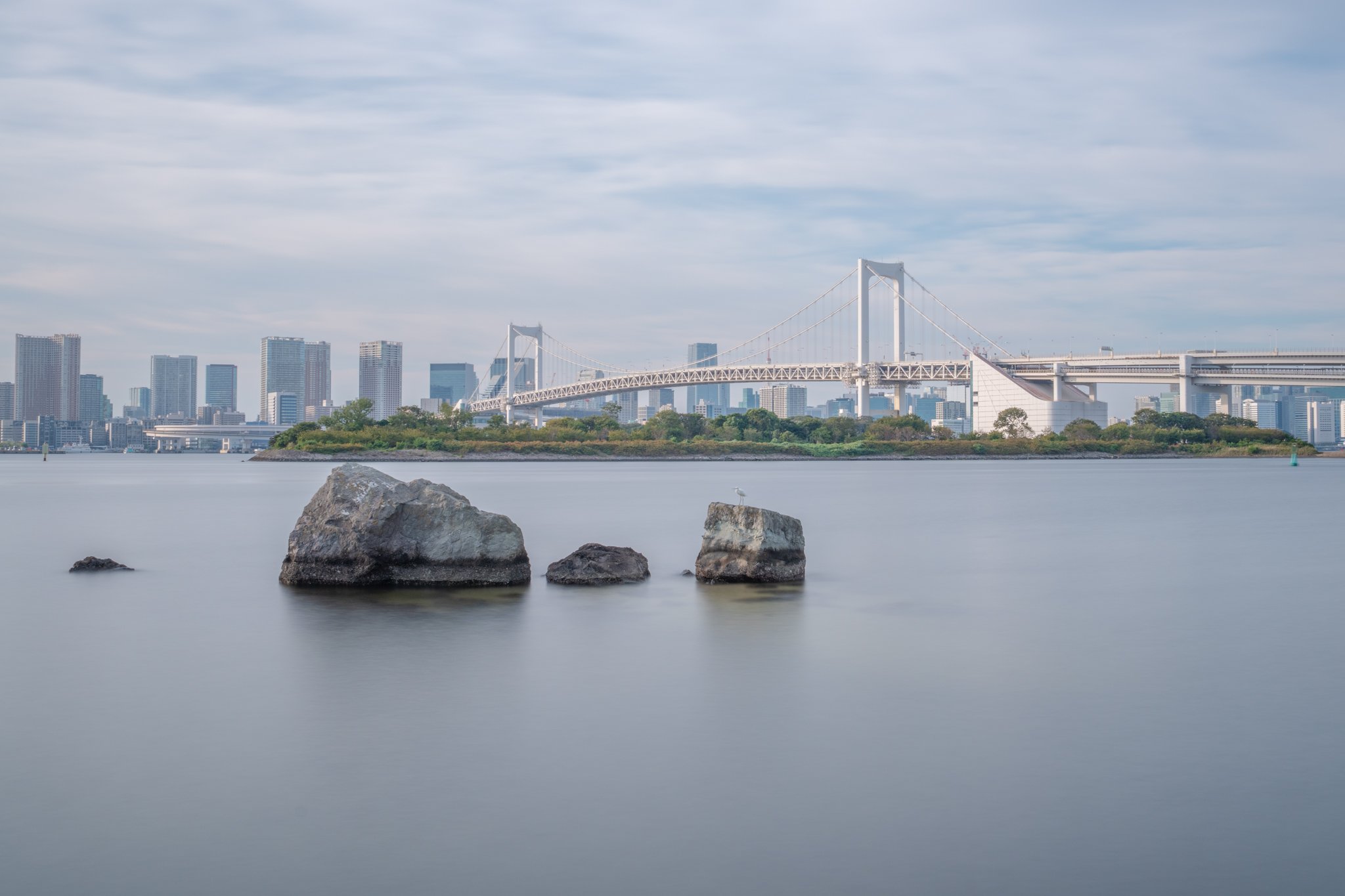 TokyoRainbowBridgeDaytime.jpg