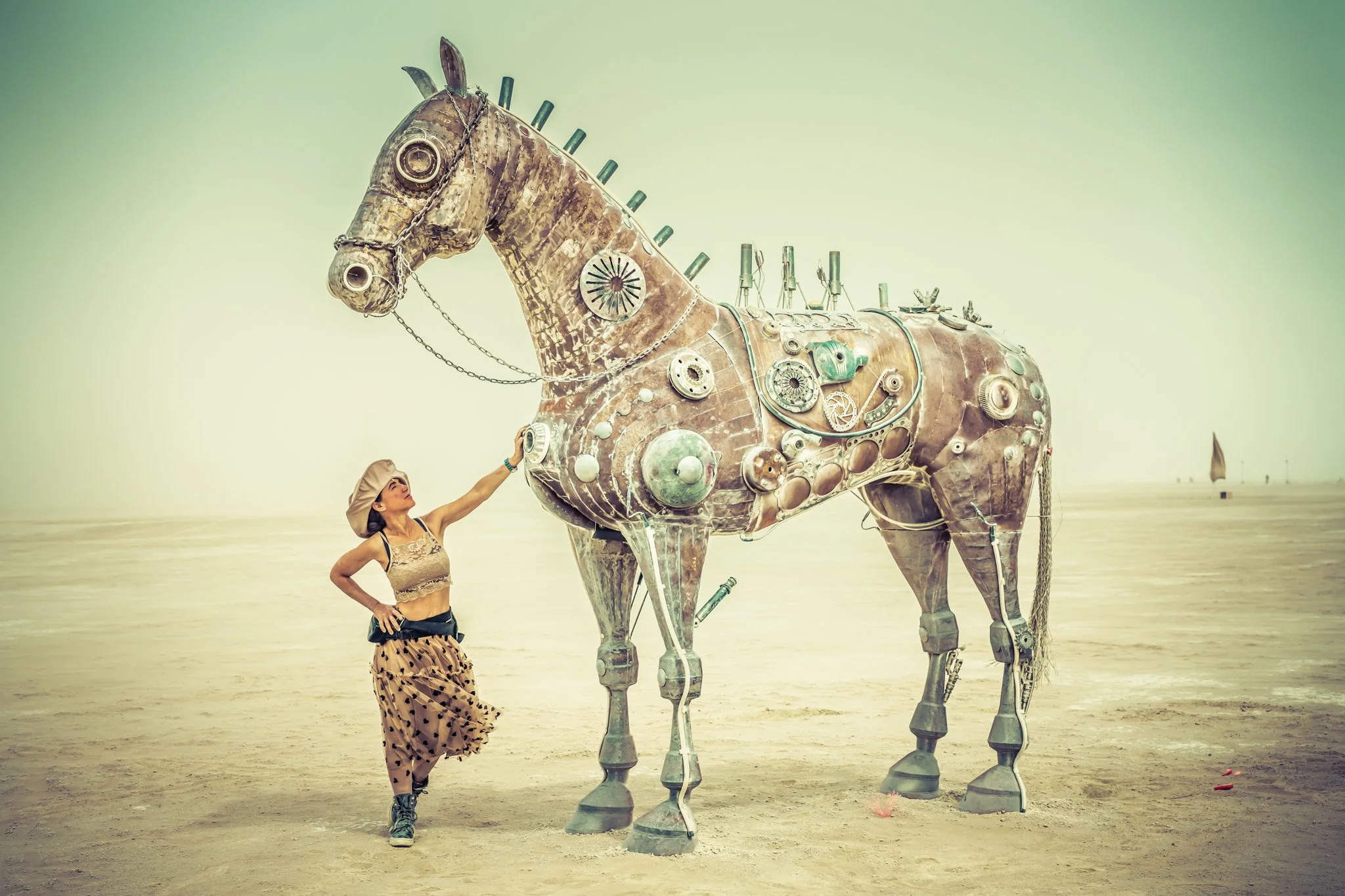 Firehorse_2048.jpg