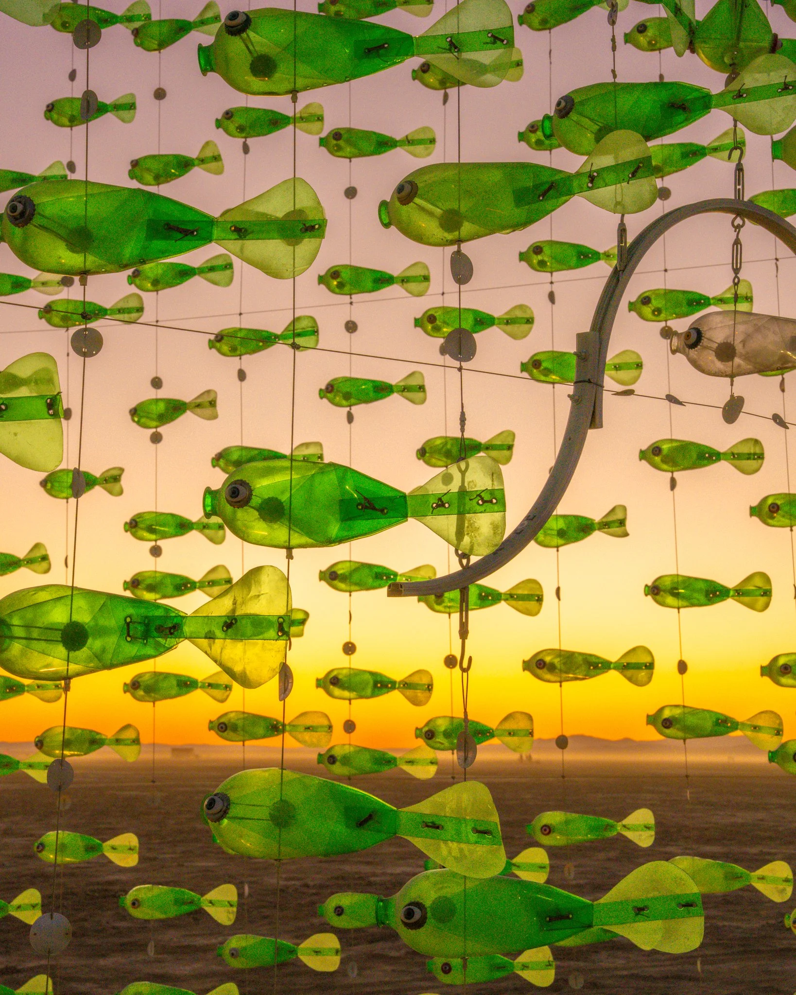 Fishes_2048.jpg