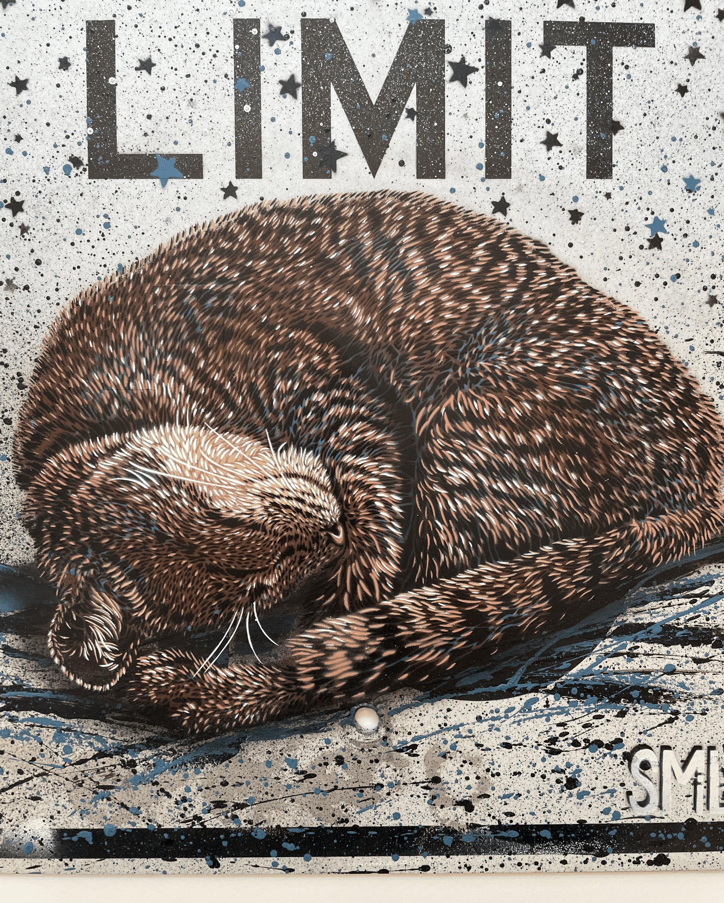 tempImageCx7D0P.gif