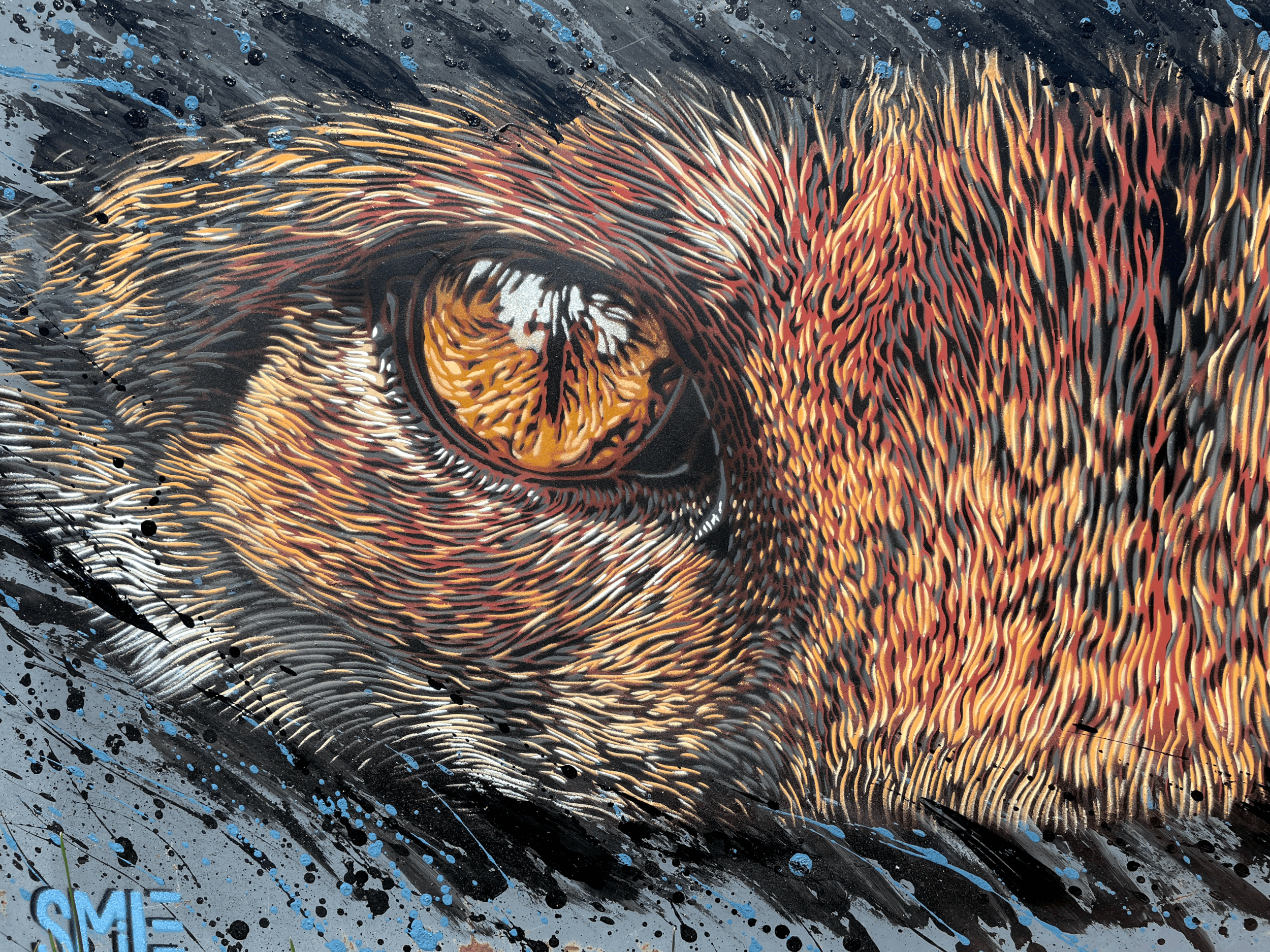 tempImageE4xiY6.gif