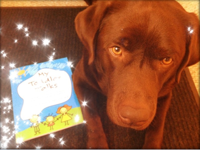 Why I Wrote My Toddler Talks