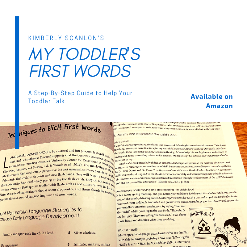 Techniques to Elicit First Words CANVA.png