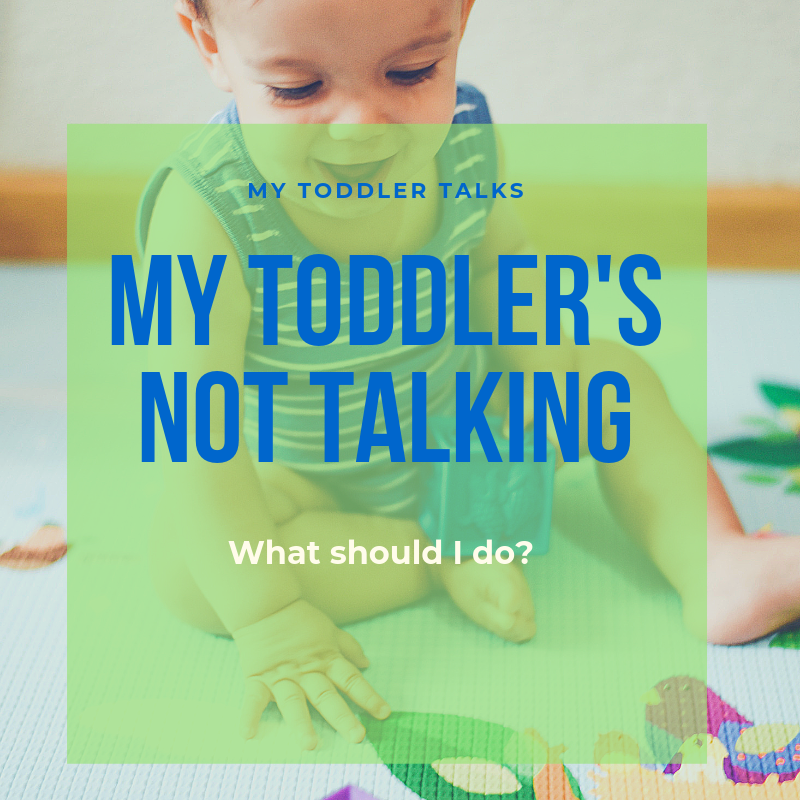 My Toddler Isn’t Talking. What Should I Do ? — My Toddler Talks