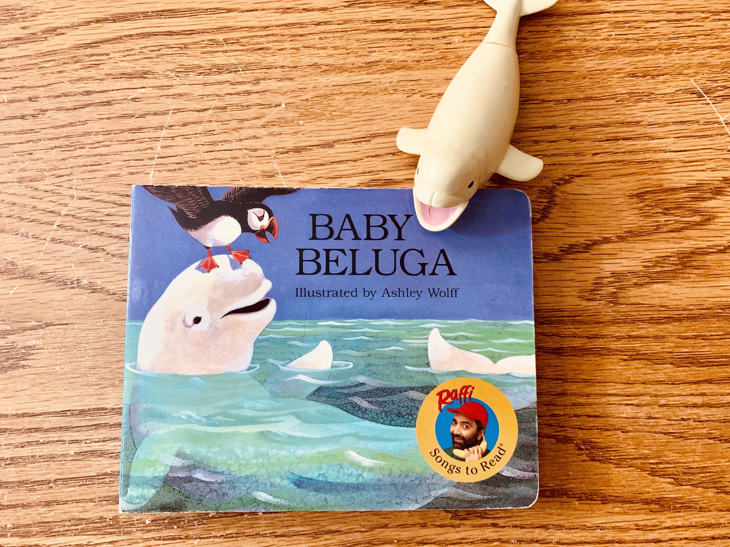 Beluga watches you sleep 