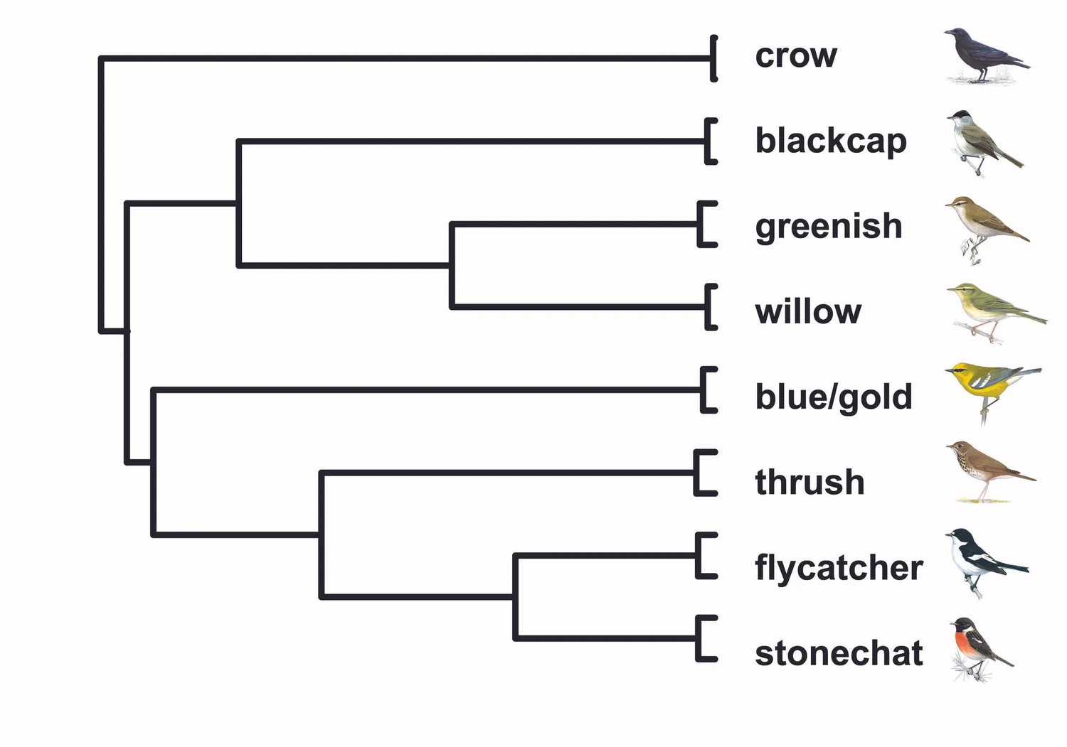 Research i
