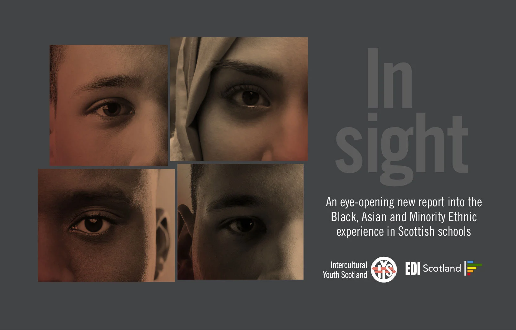 IYS_Insight_Image_website_2.jpg