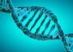 epigenetics.jpg