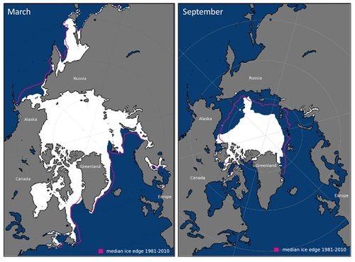 Arctic ice 2018.jpg