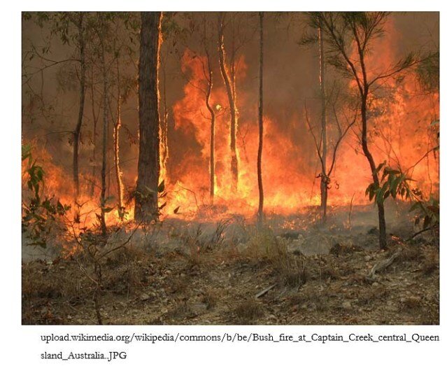 Bushfire.jpg