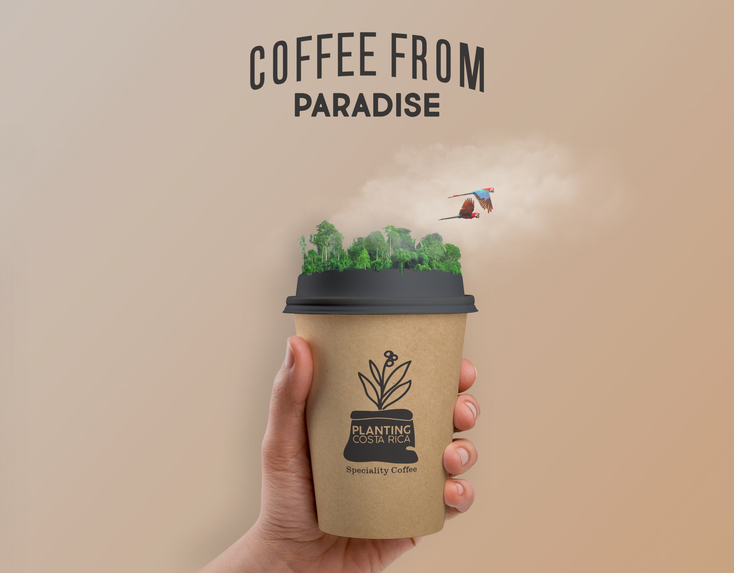 CoffeeFromParadise.PNG