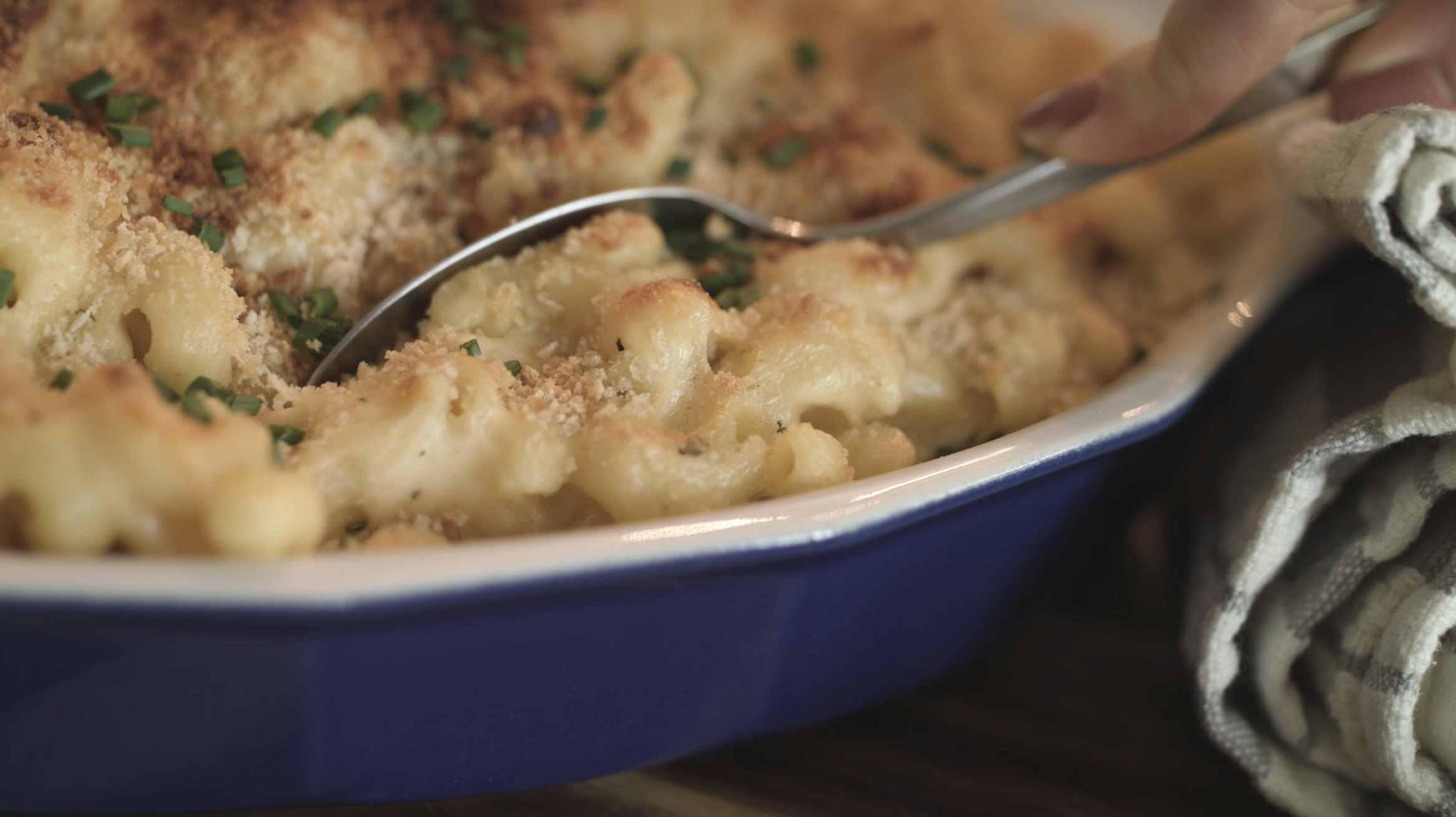 Food Promo:  Mac x Cheese