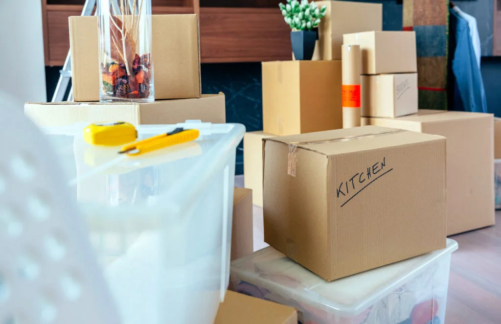 iStock-860503864-1024x662.jpg