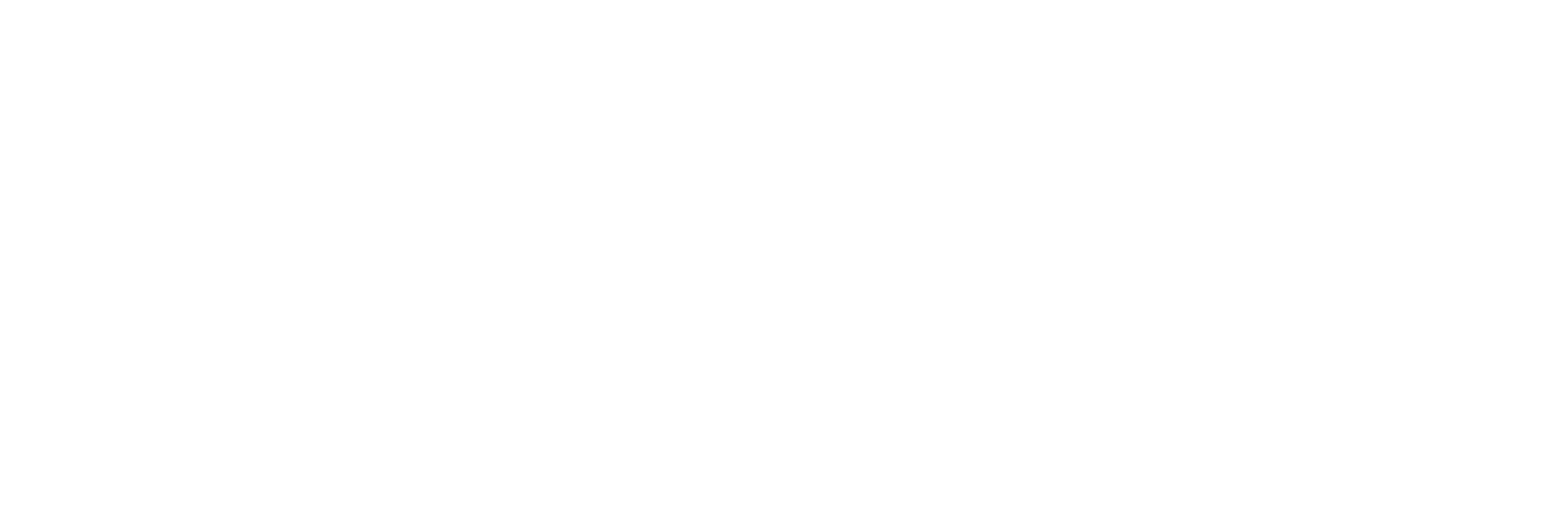 PP website_text_What.png