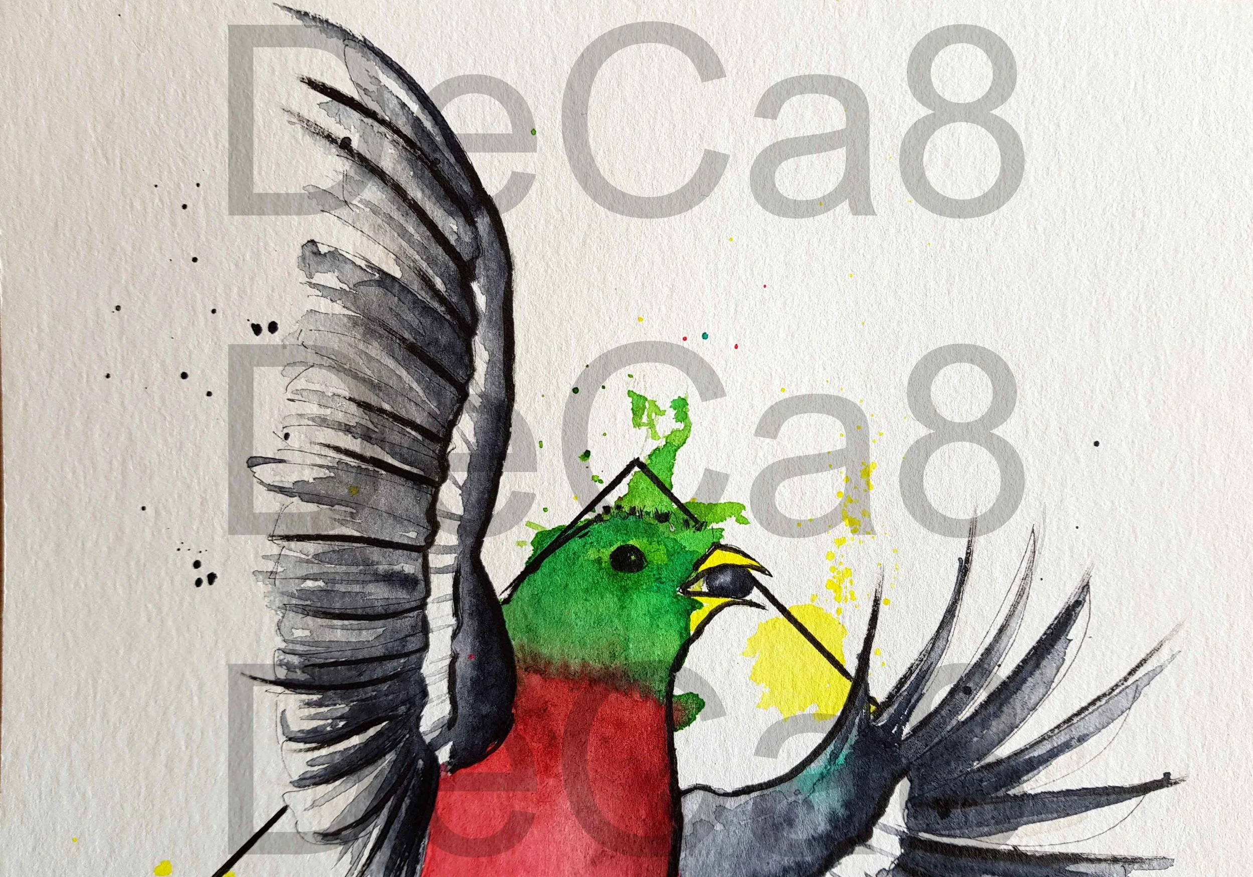 quetzal4.jpg