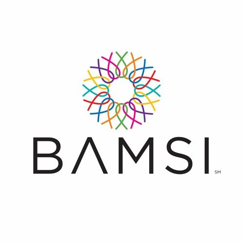 bamsi logo.jpg