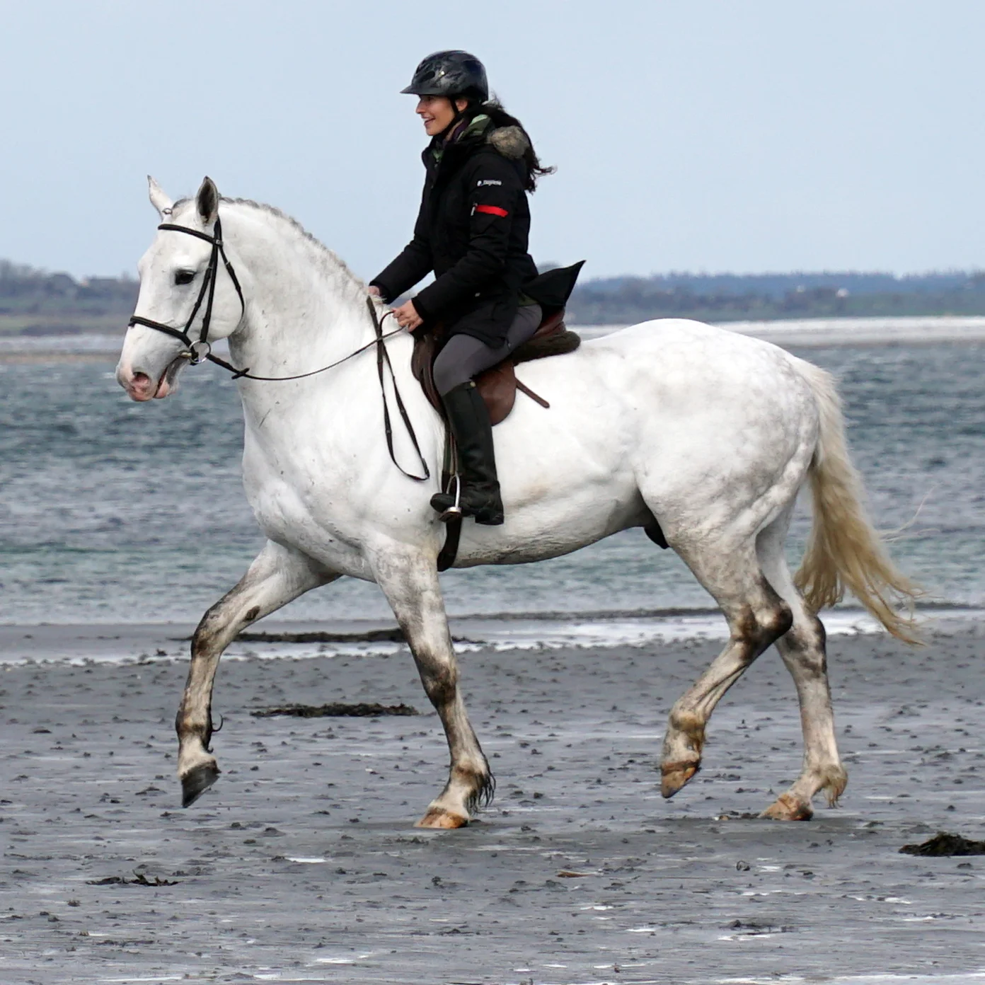 DSC01631_crop.jpg