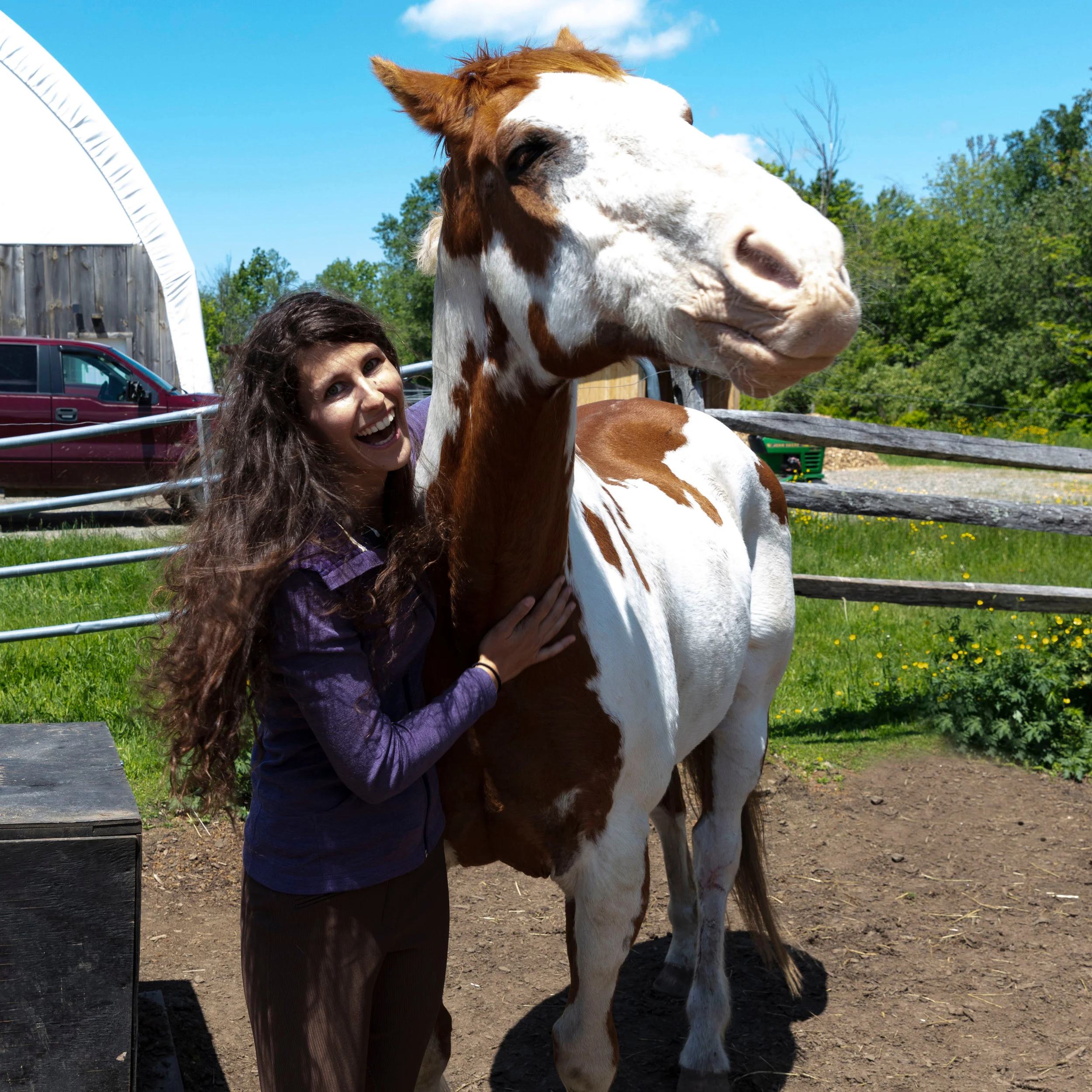 Equine Movie Stars and the Rare Spanish Mustang — DiscoverTheHorse