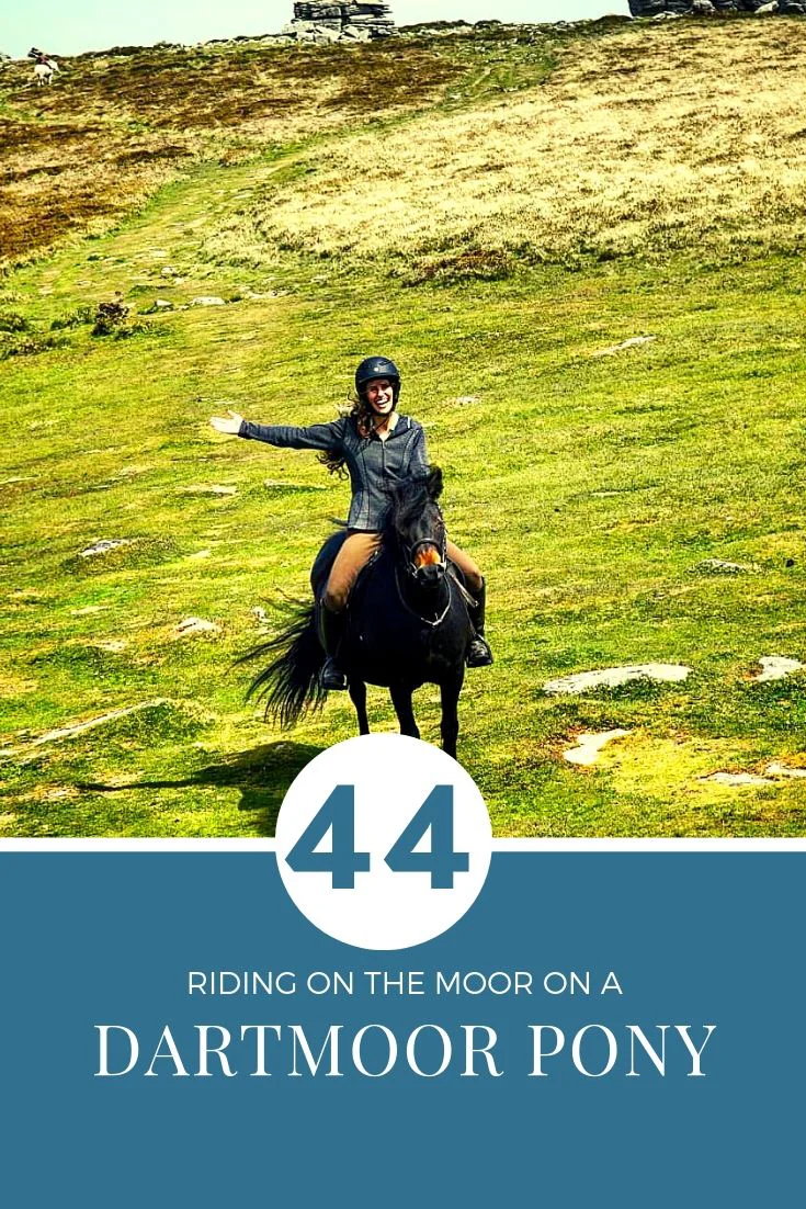 Riding a Dartmoor Pony in Dartmoor National Park! — DiscoverTheHorse