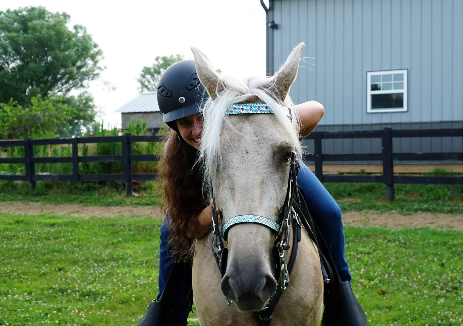 Racking Horse — DiscoverTheHorse