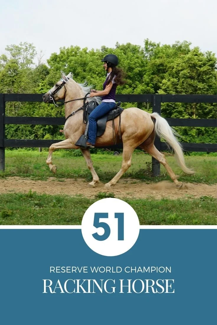 Riding a Champion Speed Racking Horse! — DiscoverTheHorse