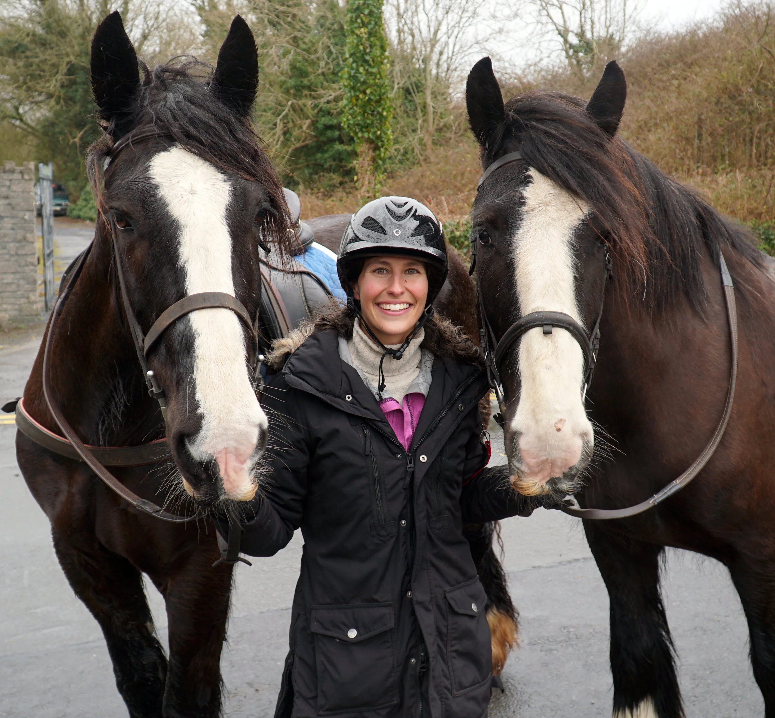 4 Irish Horse Breeds You Have to Ride! — DiscoverTheHorse