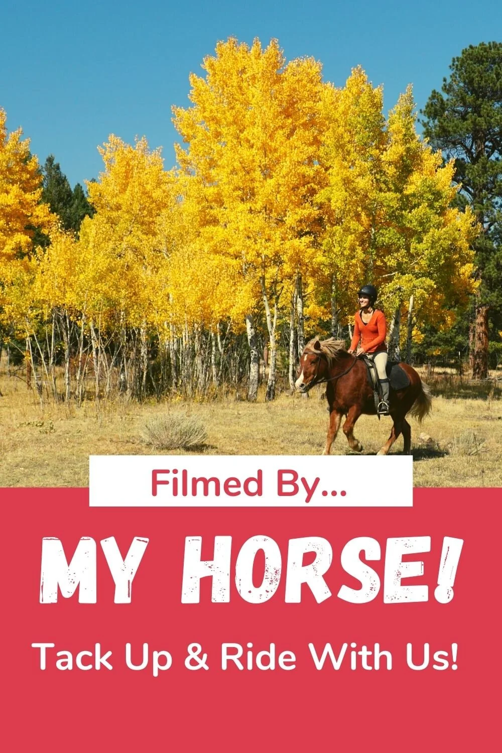 Tack Up & Ride With Me — DiscoverTheHorse