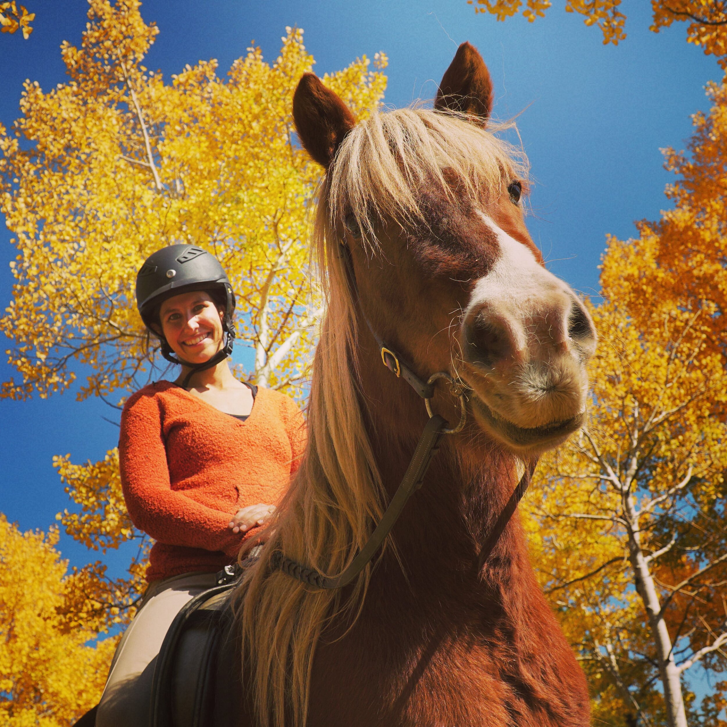 Tack Up & Ride With Me — DiscoverTheHorse