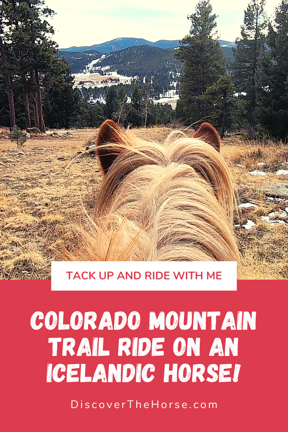 Tack up and ride with me! 