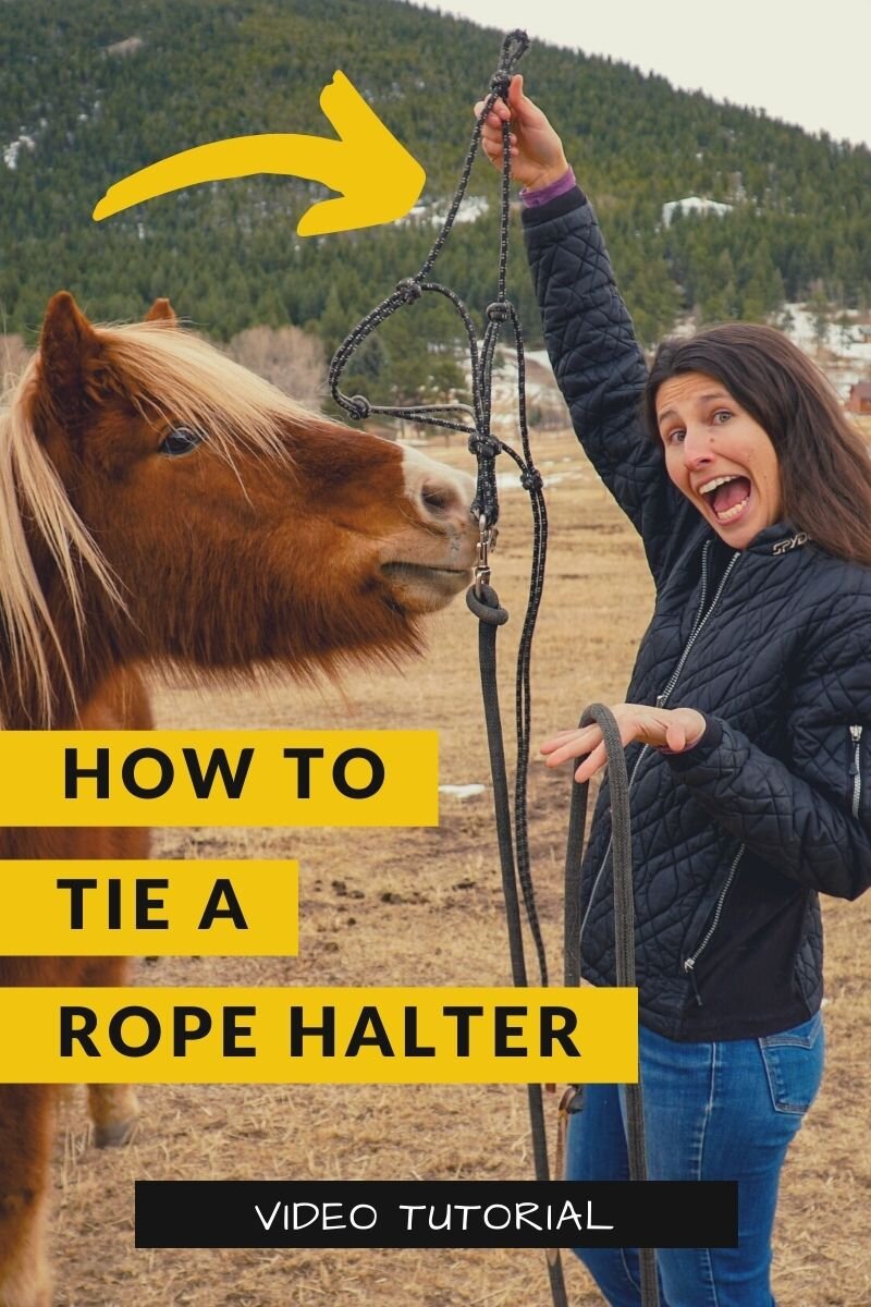 Grommen Riskeren mei How To Tie a Rope Halter — DiscoverTheHorse