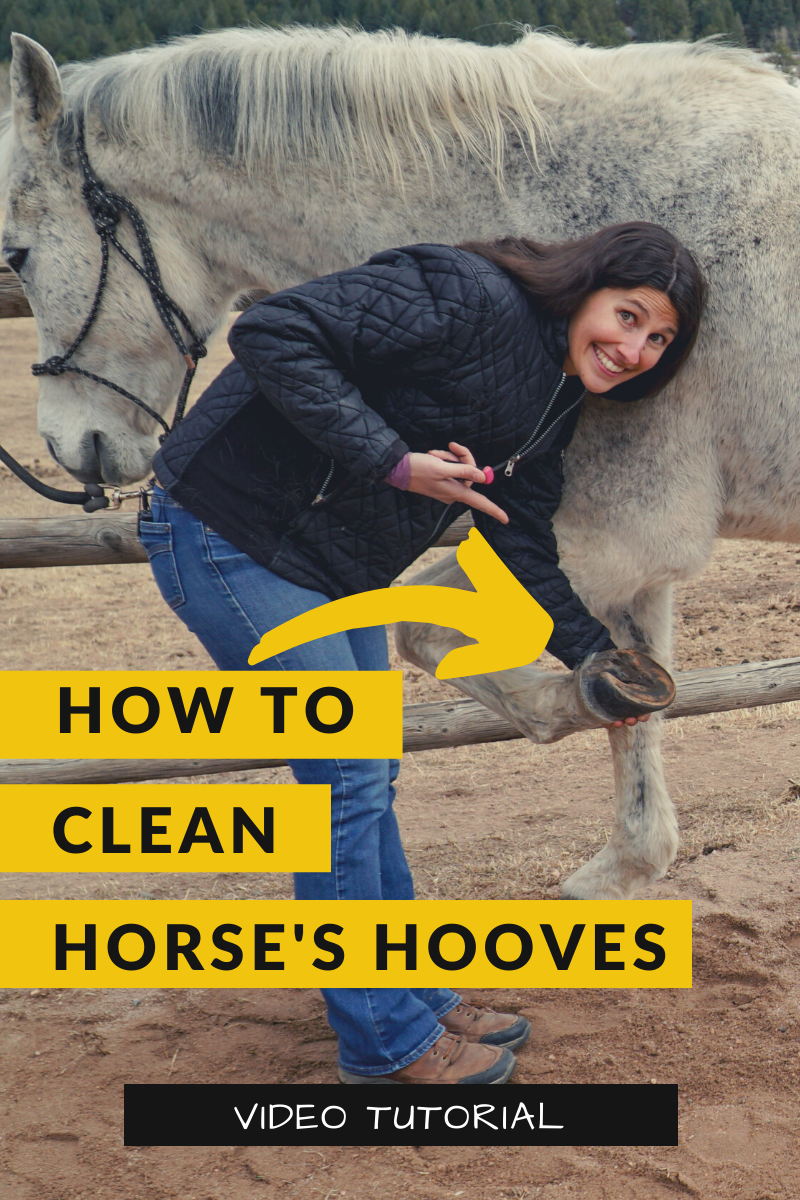 How to Clean Out Your Horse's Hooves — DiscoverTheHorse