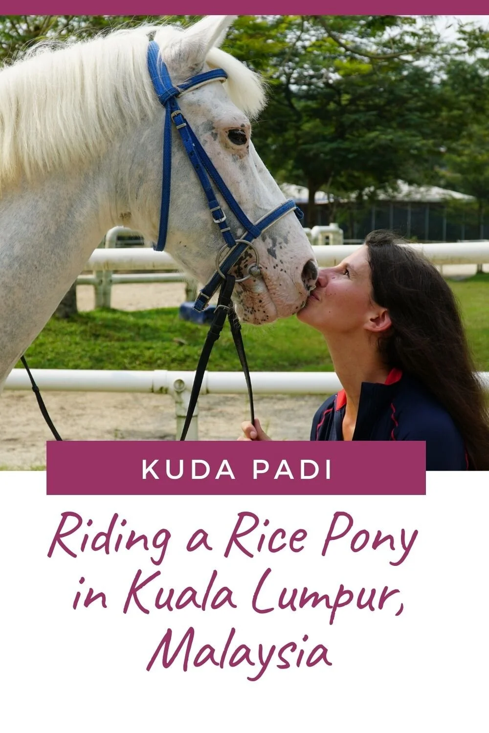 Traveling To Kuala Lumpur And Riding A Kuda Padi Discoverthehorse