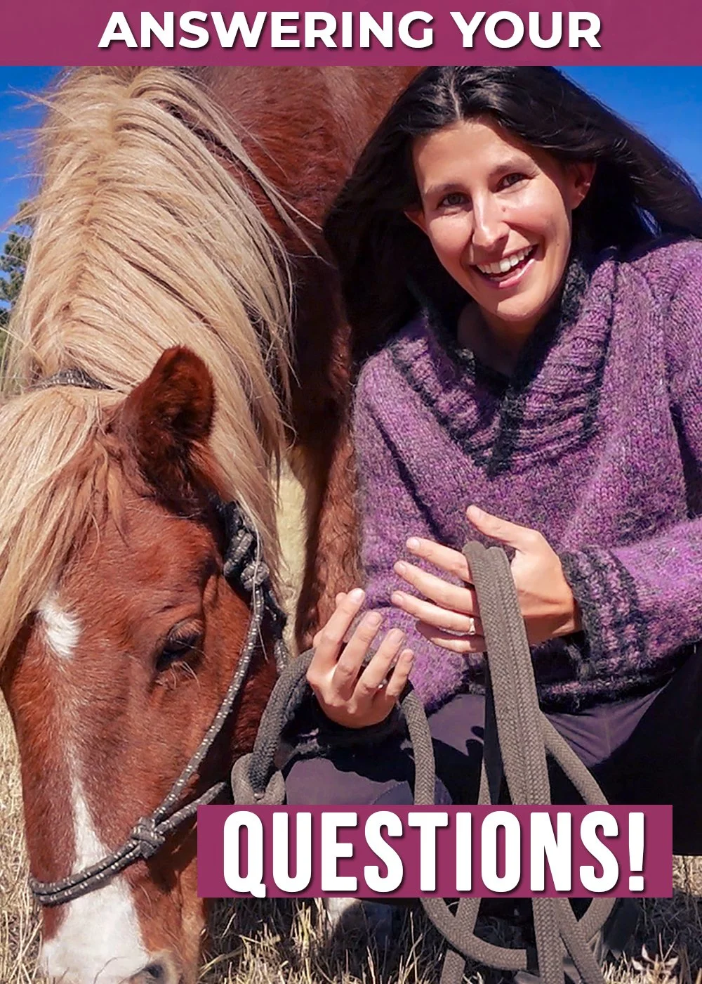 Equestrian Q&A! Answering Your Questions — DiscoverTheHorse