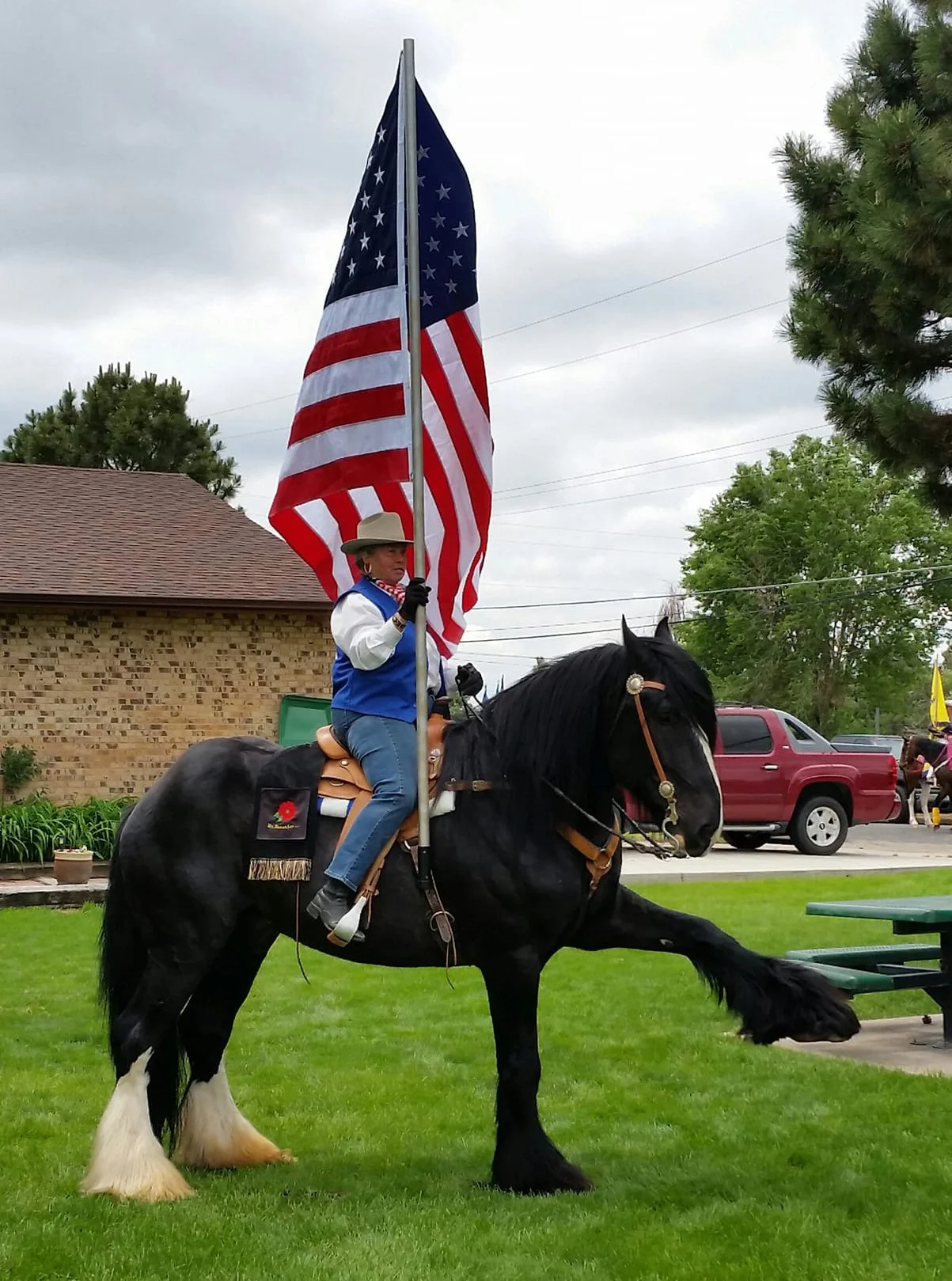 Shire — DiscoverTheHorse