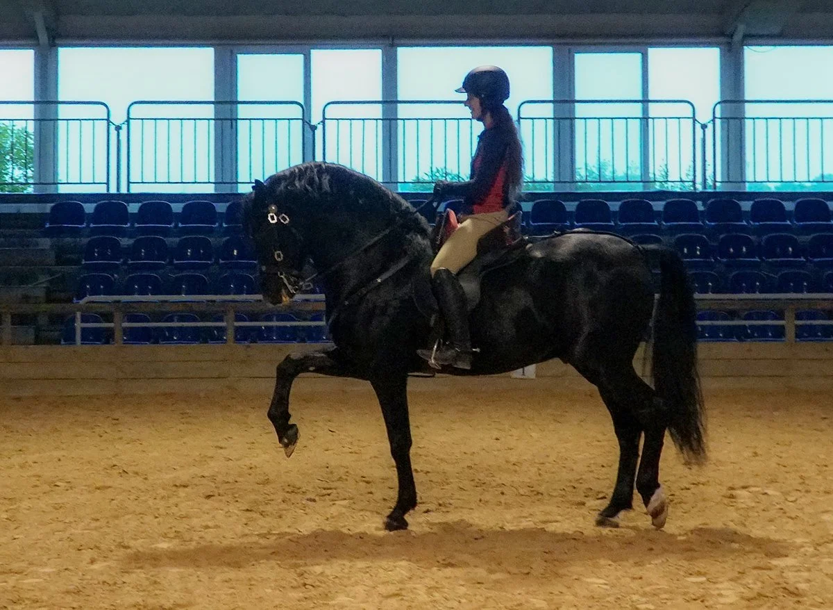 Riding the Menorquin Horse — DiscoverTheHorse