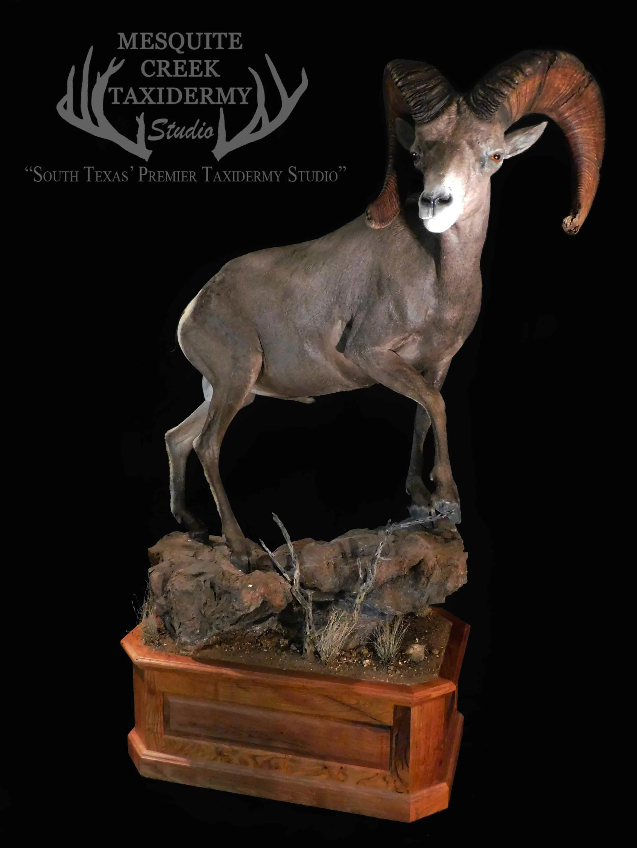 Desert Big Horn.jpg