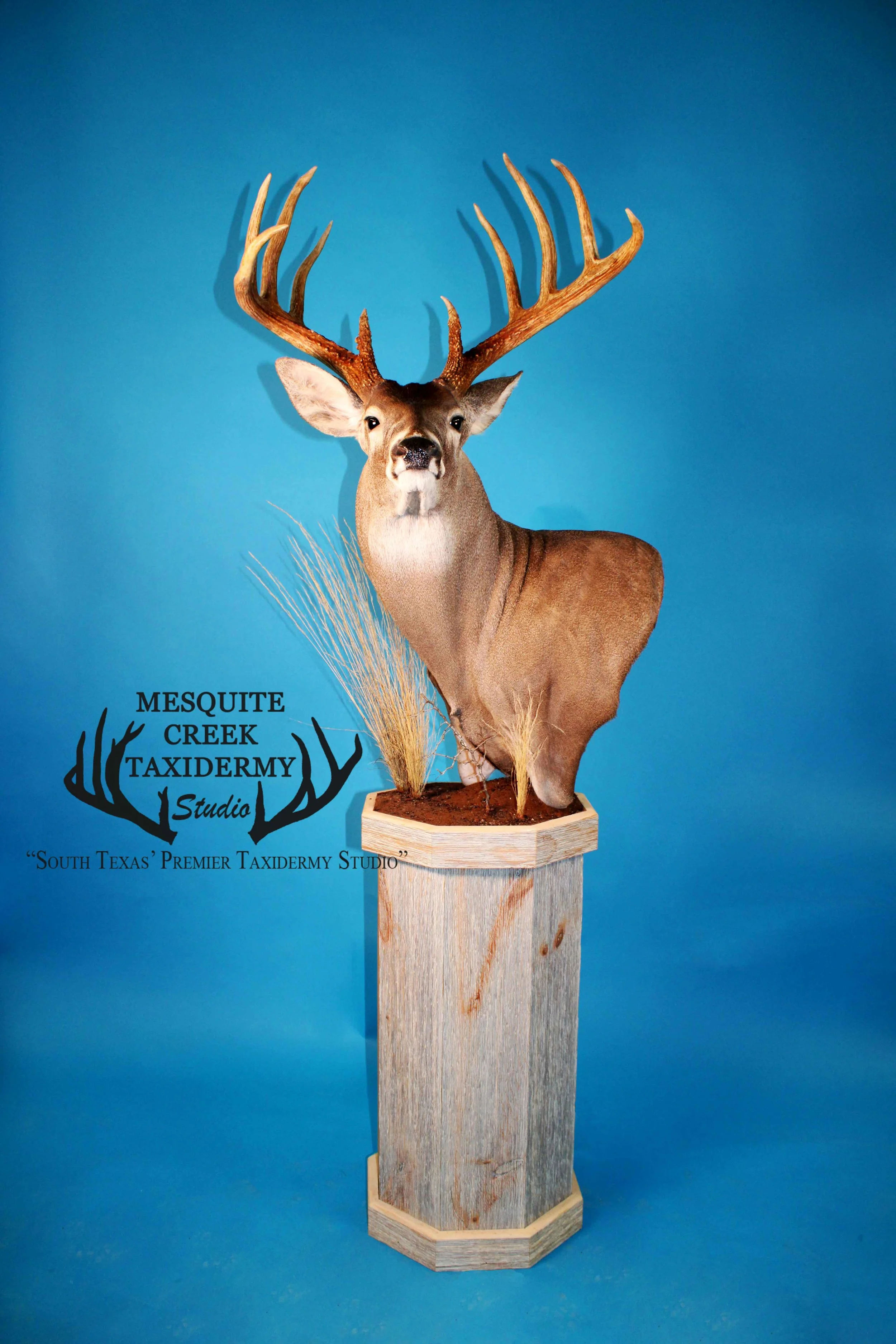Cactus Jack Trophy