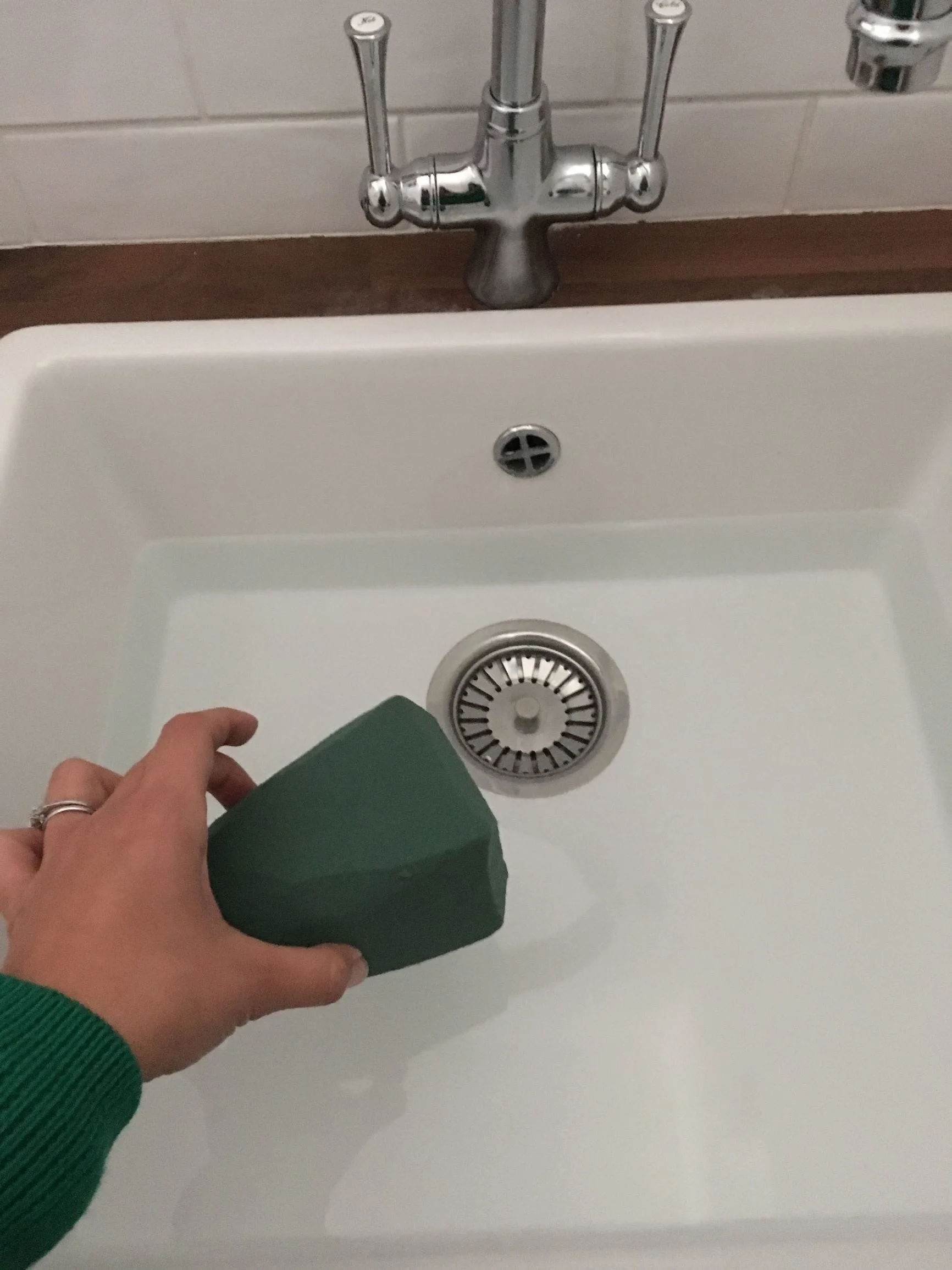 put oasis in water.JPG