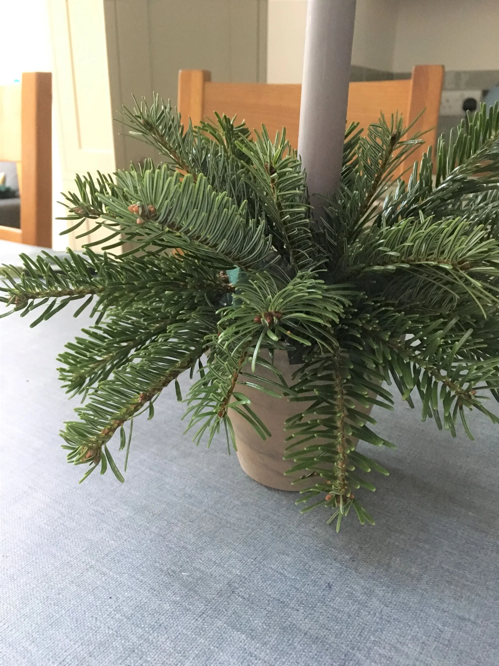 graduated pieces.JPG