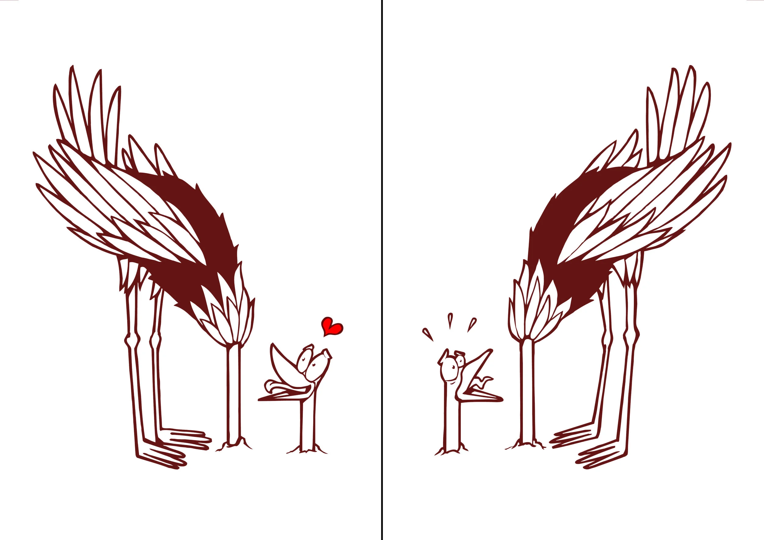 ostrich1&2.jpg