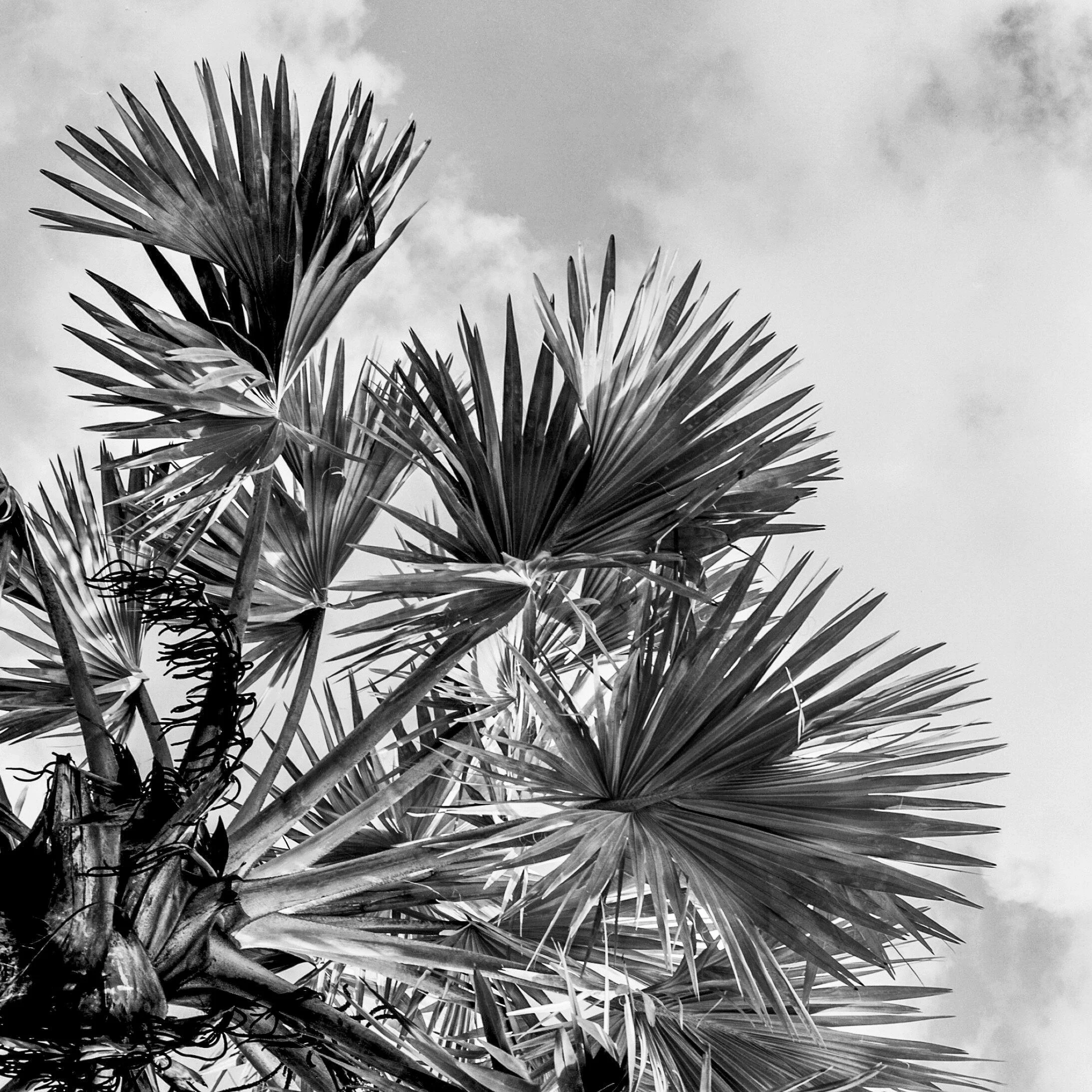C57BE9D6-7547-4704-B305-E06C8AEEB259.JPEG