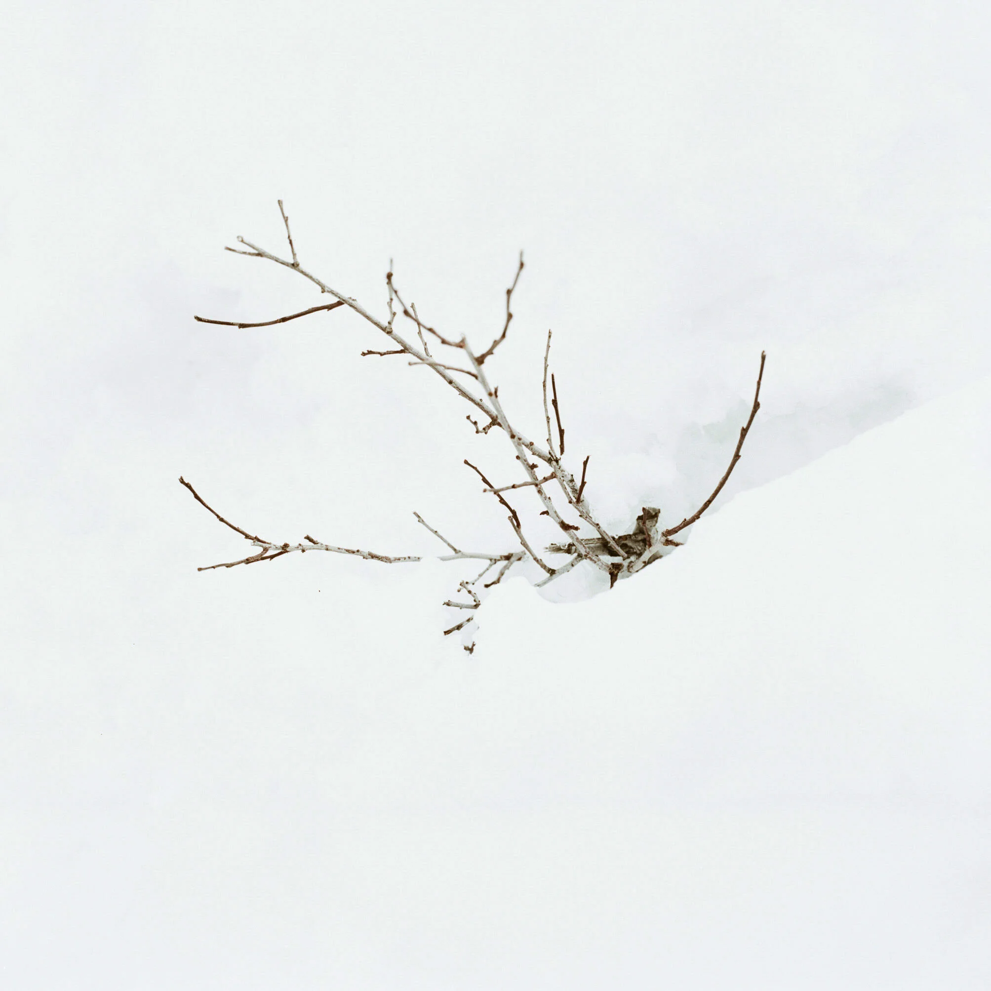 A4836AEA-EA8C-4666-88D9-1406E2059EE5.JPEG